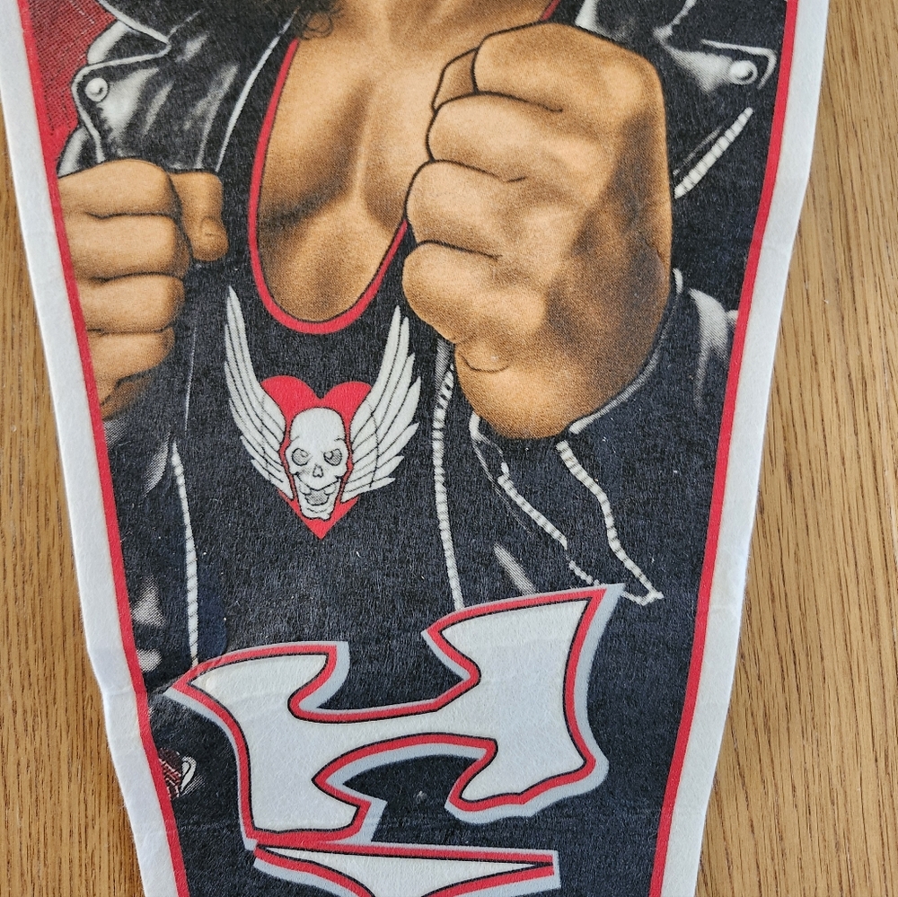 1996 Bret Hart Wrestling Pennant WCW NWO Windcraft - Picture 5 of 11